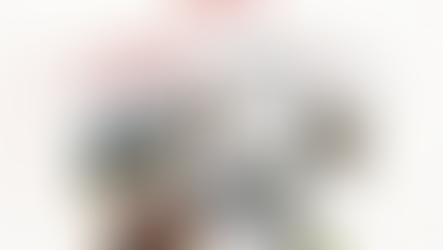 Gazette ASAC 66 octobre 2025 n°3