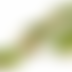 Idu on elu algus ja alus