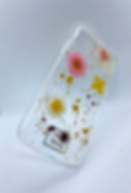 Miniature : FLORA | coque de téléphone en fleurs séchées multicolores et feuilles d'or