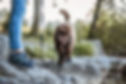 eduqua-edogcation.jpg