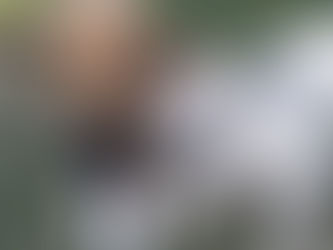 Müssen Hunde mit anderen Hunden spielen?