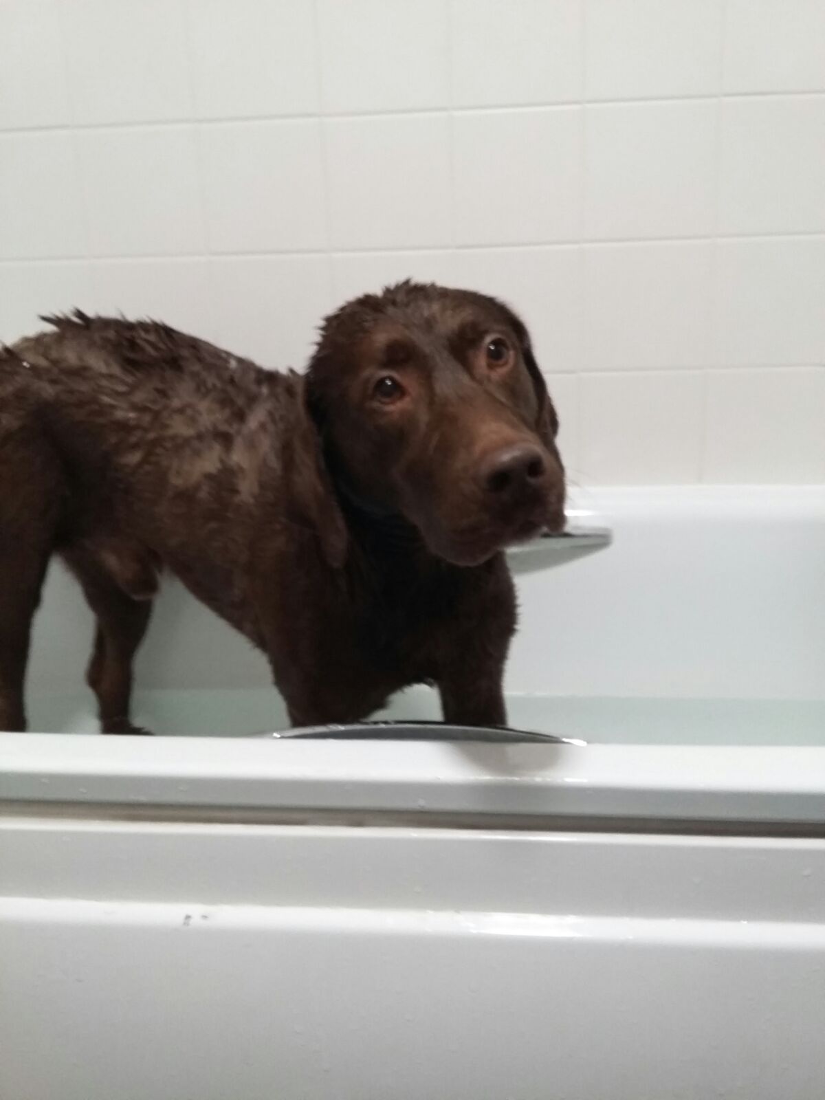 Bath time