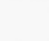 Untitled design2.png