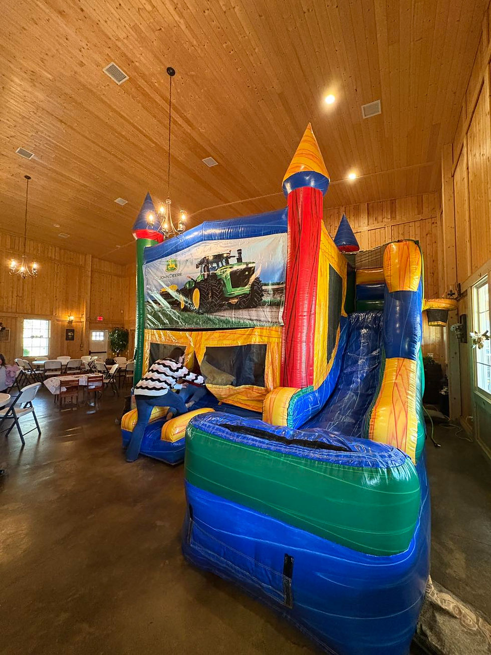Giant Castle Slide