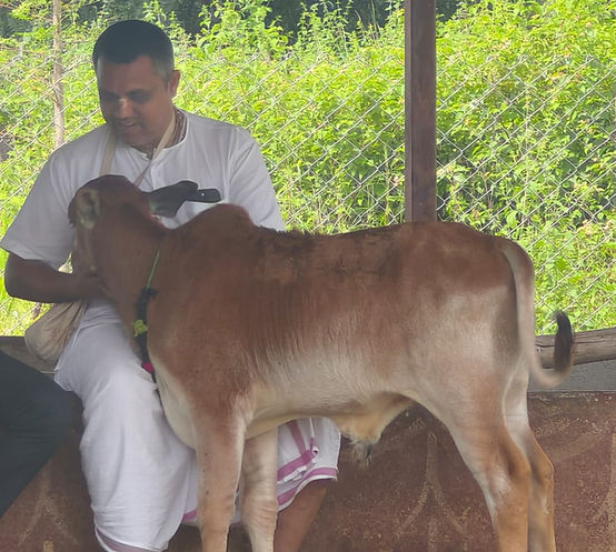 WhatsApp Image 2025-10-06 at 17.32.55.jpeg