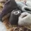 Miniaturebillede: Uldhjemmesko, Hvid (Høj model) - The Cozy Sheep