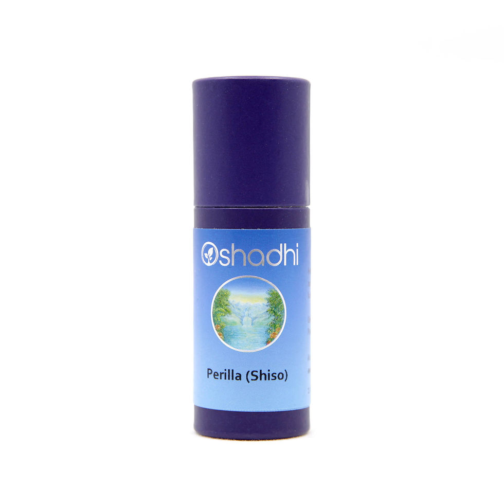 Périlla ou Shiso Oshadhi