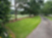 IMG_3553.jpeg