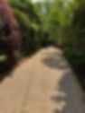 IMG_0374-preview 2.JPG
