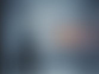 The Right to Silence and Police Interrogations