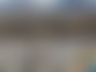 Who owns ‘ICELAND’?