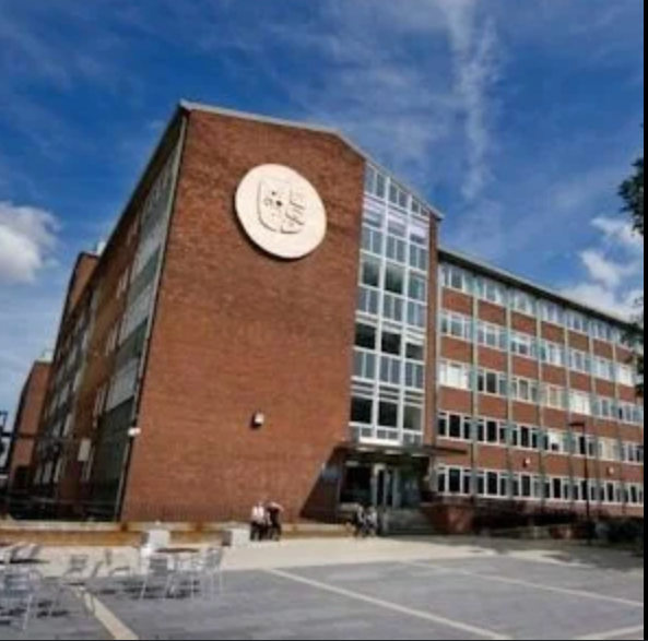 What I Wish I Knew in my First Year