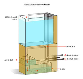 big-fish-tank-big.jpg
