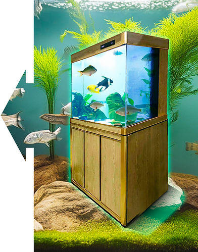GWIN-big-fish-tank.jpg