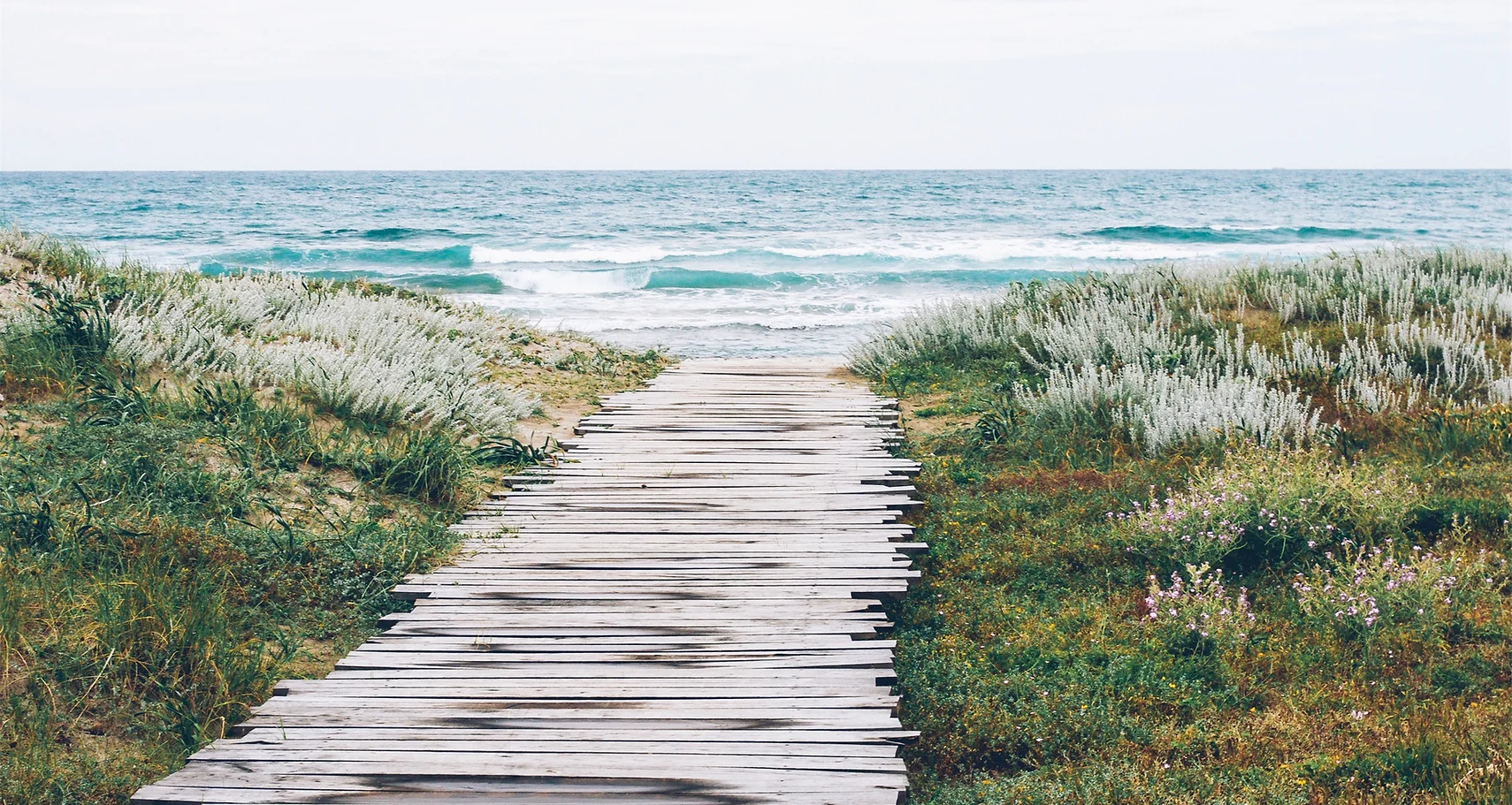 beach_path.webp
