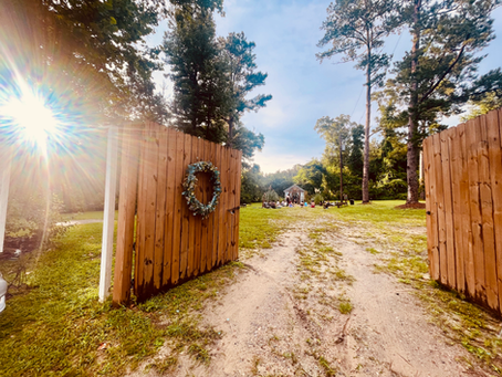 Discover the Charm of Our Greenhouse Venue for Your Photoshoot