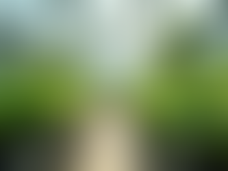 Experience the Elegance of Greenhouse Venues