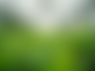 Discover the Charm of Greenhouse Venues