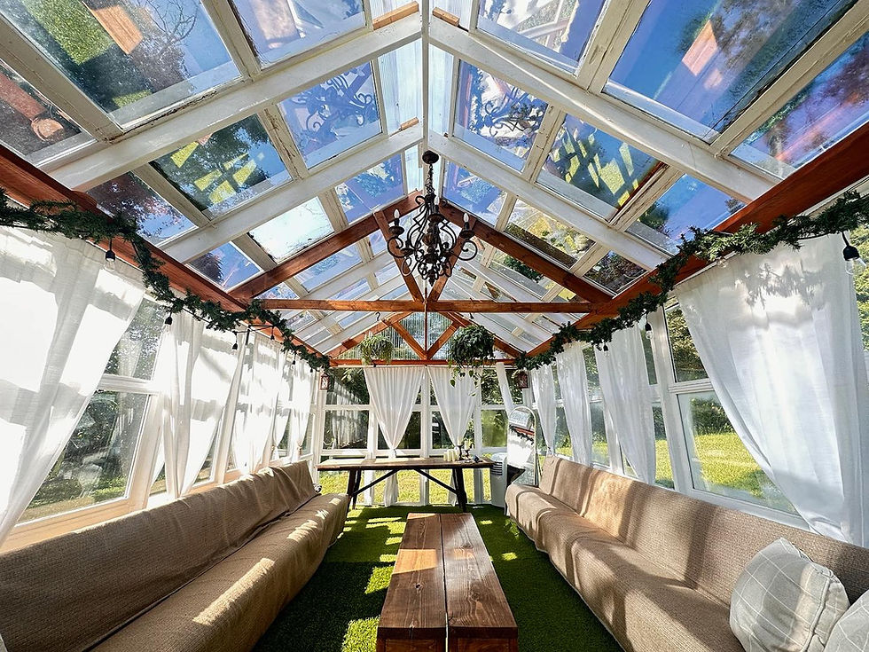 Eye-level view of a bright greenhouse interior filled with lush green plants