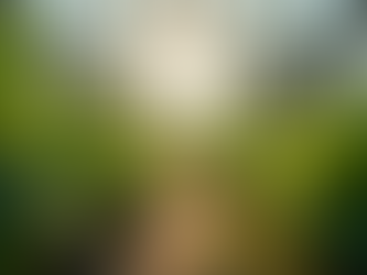 Selecting the Perfect Greenhouse Event Venue