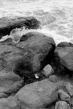 bottle beach edit7.jpg