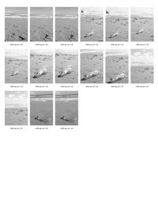 beach contact sheet page 9B+W.jpg