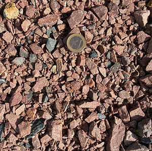 020 Carriere roy.jpeg