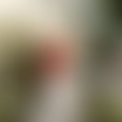 Tara and Jason | The Oxford House