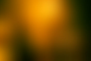 Concert Review: Whitney with Prewn at the Lodge Room, Los Angeles, CA