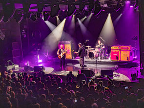 Concert Review: Sex Pistols Perform at Royal Boston with Support from Bad Nerves