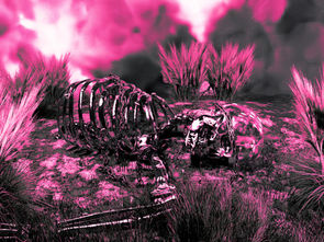 Music Review: Pinknoise Cranks Up the Chaos with New Banger ‘TALK TALK