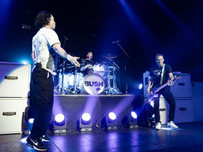 Photo Galleries: Bush with Filter at Proctors Theatre in Schenectady NY
