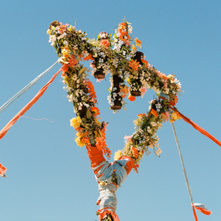 Album Review: Petals and Pain: The Devil Wears Prada’s Flowers Unfold