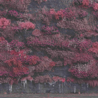 Album Review: Sleep Token, Even In Arcadia
