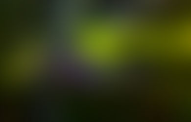 Concert Review: Pink Talking Fish at Soundcheck Studios