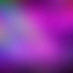 The Roots of Creation at the Soundcheck Studios