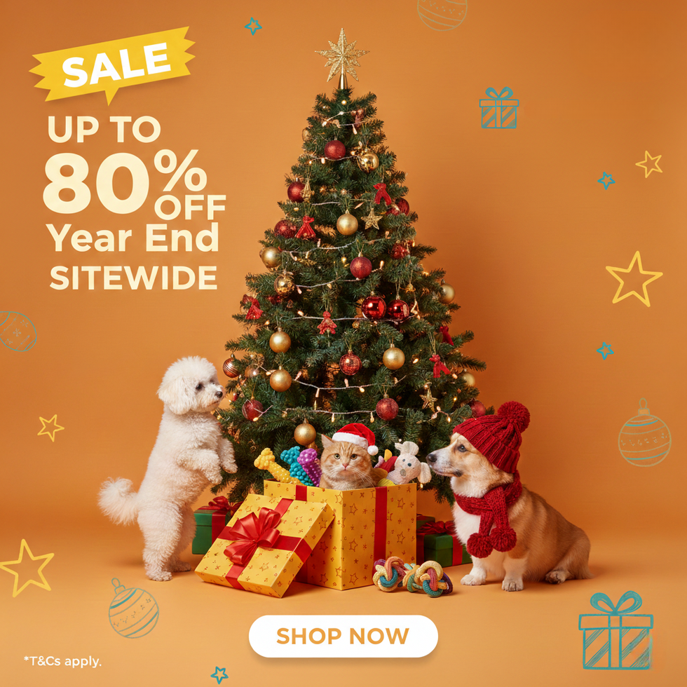 ChristmasSale