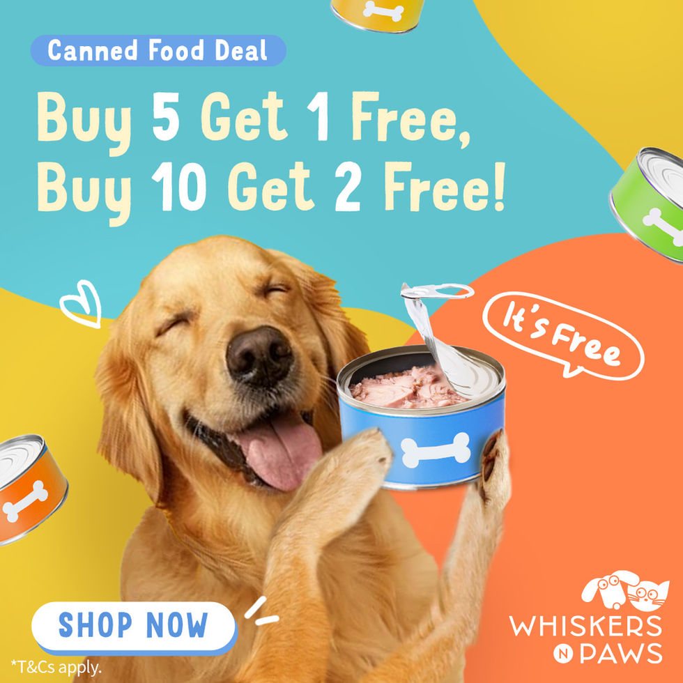 Buy 5 Get 1 Free Buy 10 Get 2 Free Dog Canned Food Product Ads