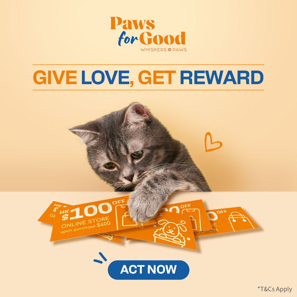 Give Love, Get Rewards Creative Ads for Cat Lovers