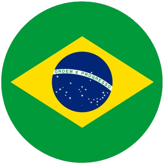 depositphotos_677719188-stock-illustration-vector-illustration-flat-shaped-brazil_edited.p