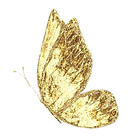 b69e03380083268f26364a178a81a234 - Edite