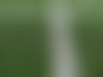 Texans Reveal Bold Strategy: “What If We Actually Tried to Win Next Year?”