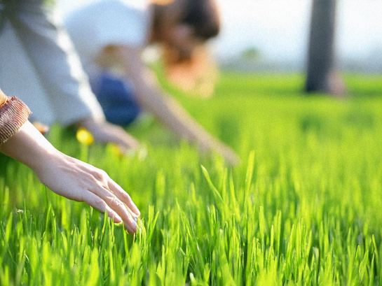 New Social Media Trend Encourages Users to Log Off and Touch Grass—Nobody Does It