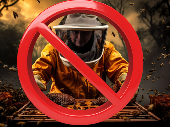 Woman Sues The Babylon Bee After Article Hurts Her Feelings
