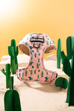 Creative Product Photography and Prop Styling by Thurees of Sunny East Side Product Photography StudioCreative Product Photography and Prop Styling by Thurees of Sunny East Side Product Photography Studio | Gothenburg, Sweden