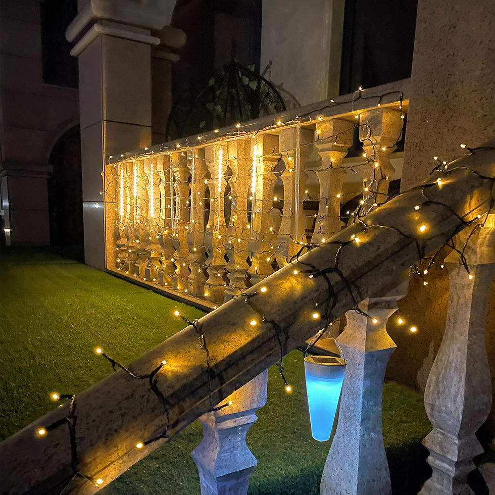 Miniature : Guirlande Lumineuse de Noël