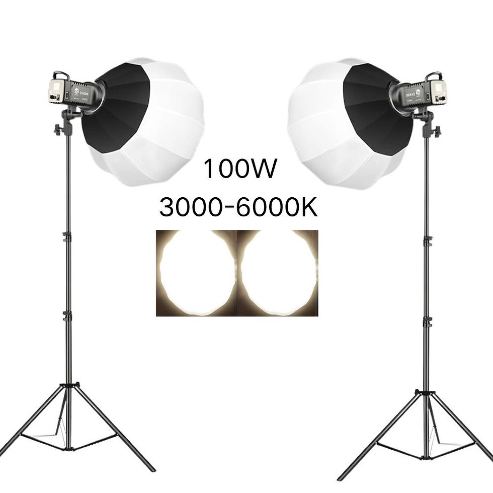 Miniature : Pack de 2 Lampes LED Photographie 100W 