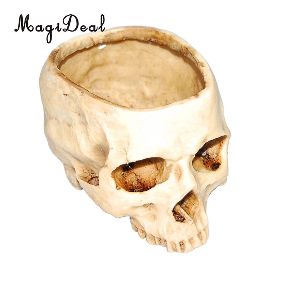 Miniature : Pot de Fleur Crâne Halloween