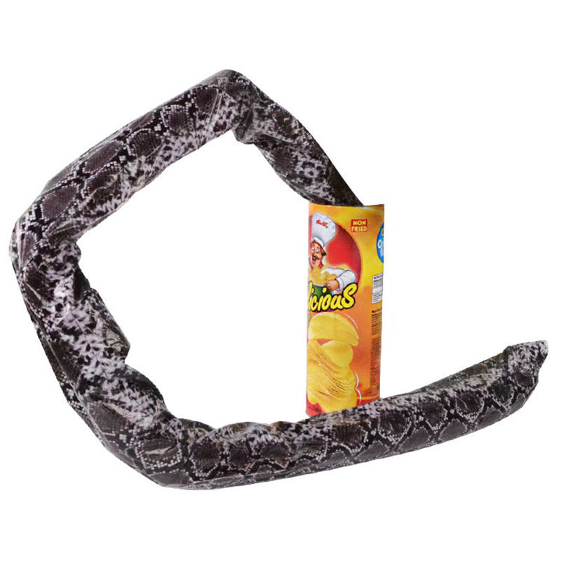 Miniature : Boîte Surprise Serpent à Ressort