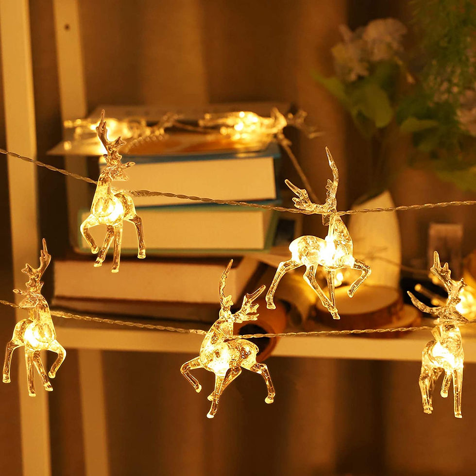 Miniature : Guirlande lumineuse de Noël 